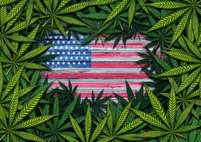 Americans support of cannabis hits new high