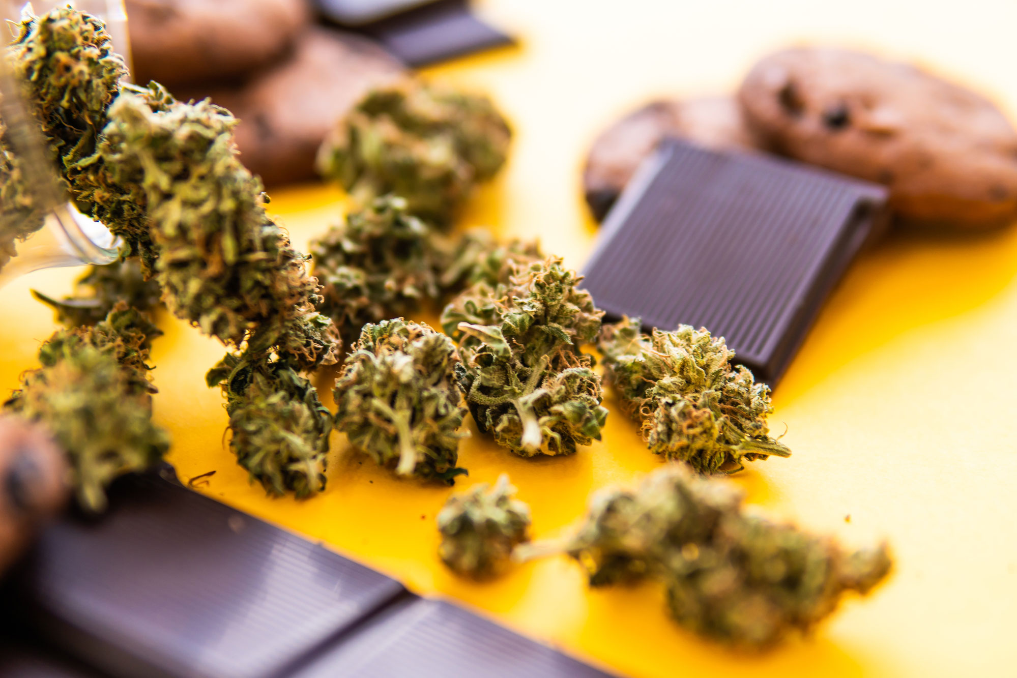 Visiting a Marijuana Dispensary: 8 Things First-Timers Need to Know